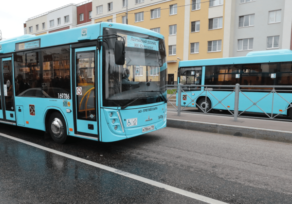 Петербуржцы продолжают жаловать на грязные автобусы после реформы Смольного