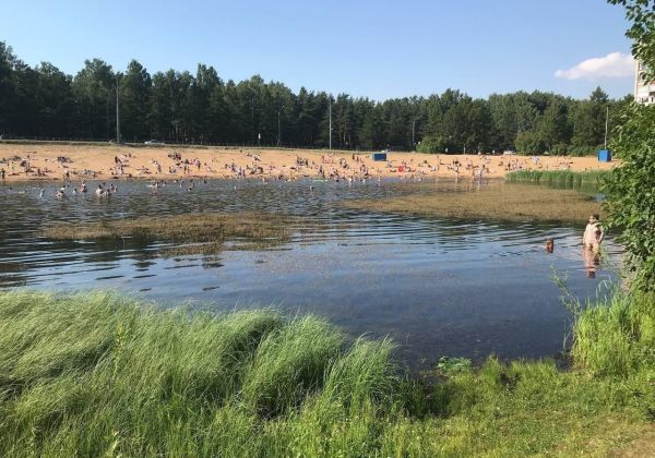 Петербуржцы опасаются получить инфекцию в «пригодном» для купания Ольгинском пруду